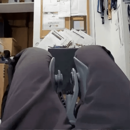 Komodo Pelvic Trainer